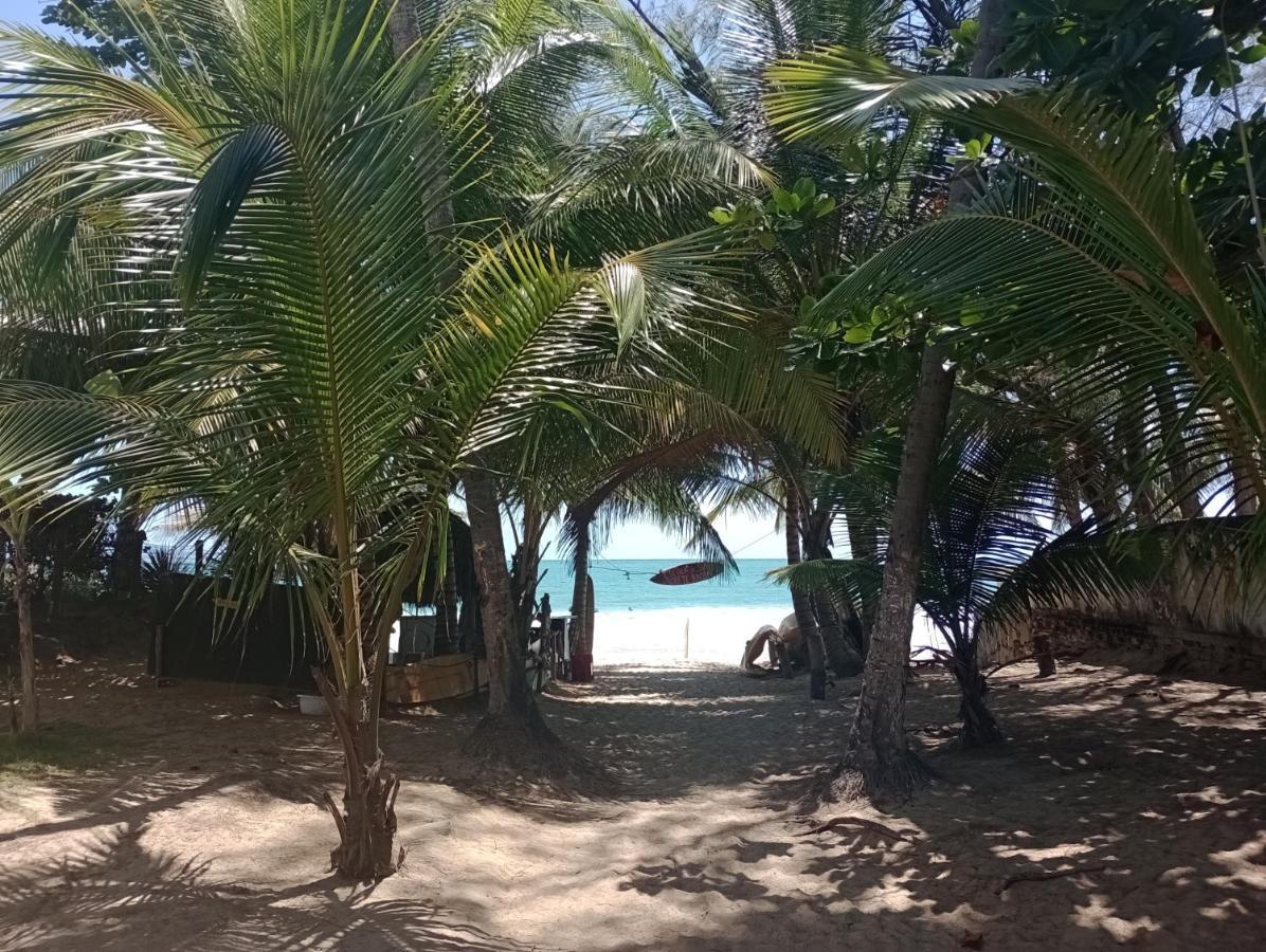 Apartament Porto De Galinhas Lindo Ap 2 Q 2 Banh 40 M Da Praia Zewnętrze zdjęcie